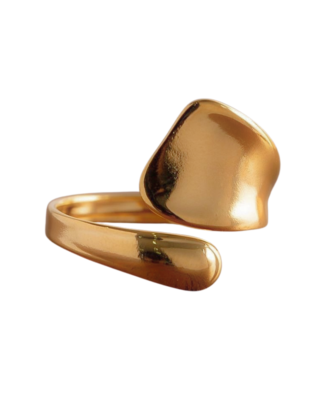 Anello Vega